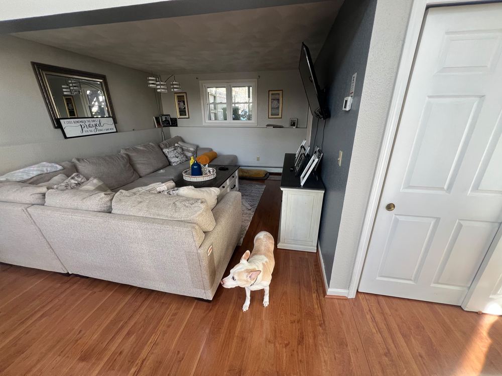 Restored Hardwood Floors and Staircase